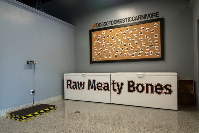 Domestic Carnivore Raw Food Pet Store Hamilton